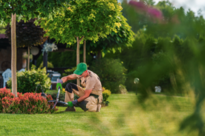 Professional landscaper trimming shrubbery and performing gardening tasks on a well manicured lawn