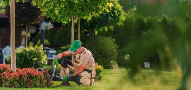 Professional landscaper trimming shrubbery and performing gardening tasks on a well manicured lawn